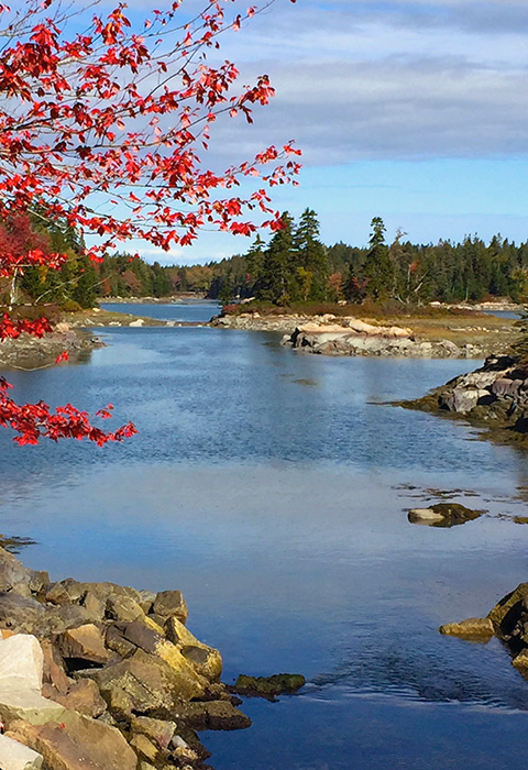 Vinalhaven Photo