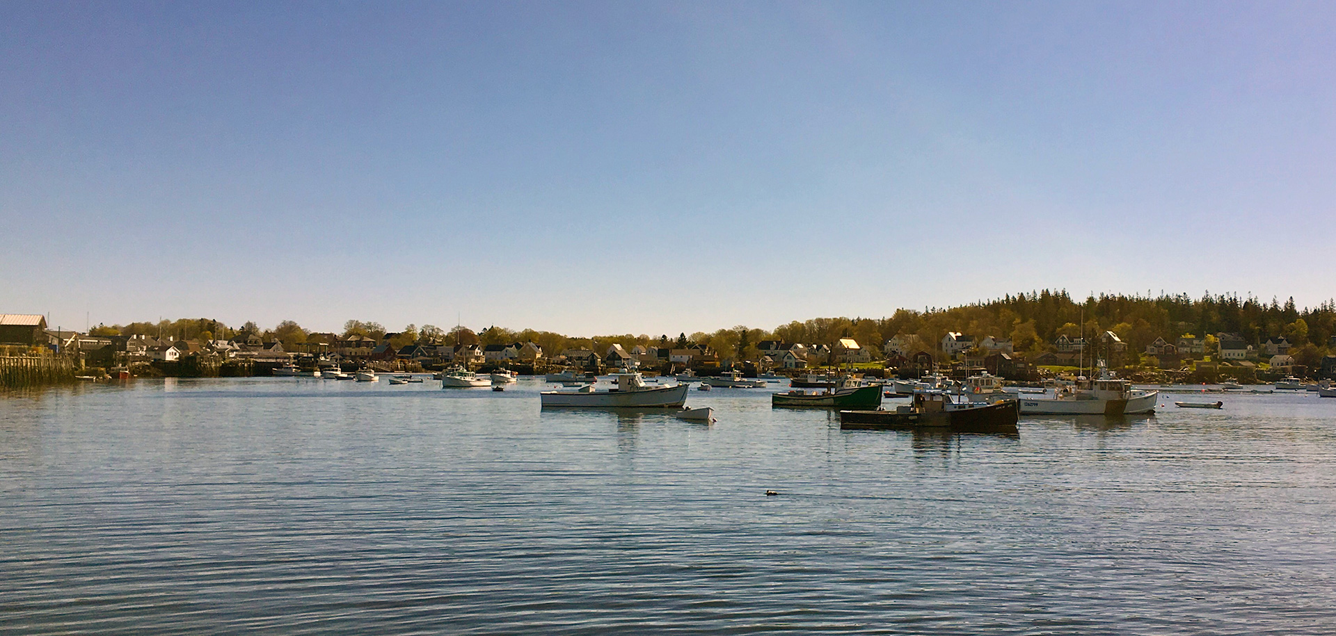 Carver's Harbor Vinalhaven